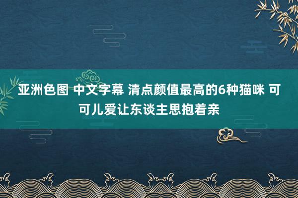 亚洲色图 中文字幕 清点颜值最高的6种猫咪 可可儿爱让东谈主思抱着亲